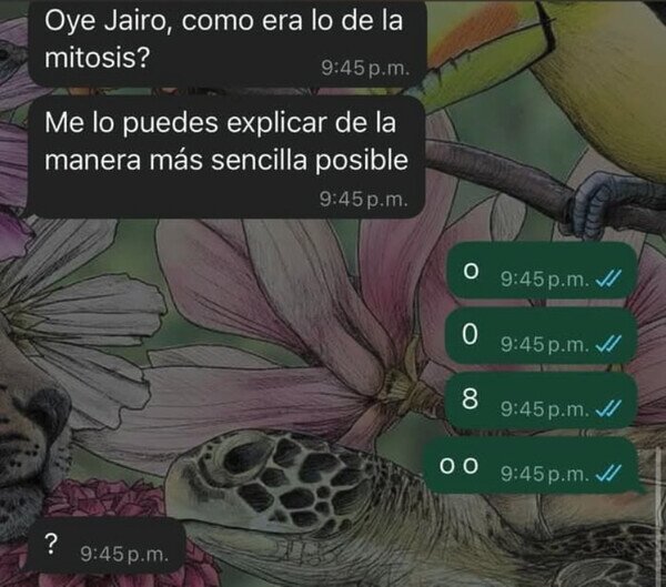 Otros - Ni aún así lo entendió