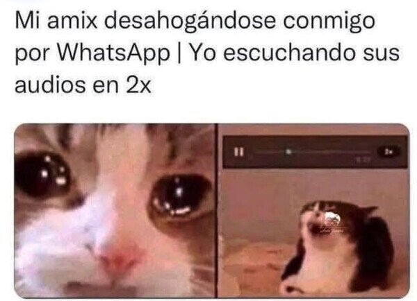 Otros - Qué gracioso suena todo el mundo en x2
