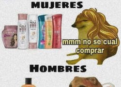 Enlace a Champú es champú