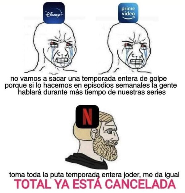Meme_otros - A Netflix le da igual todo ya