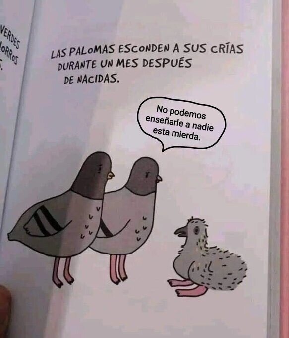 Meme_otros - ¿Por qué las esconden?
