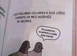 Enlace a ¿Por qué las esconden?