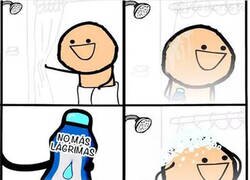 Enlace a Un champú que funciona