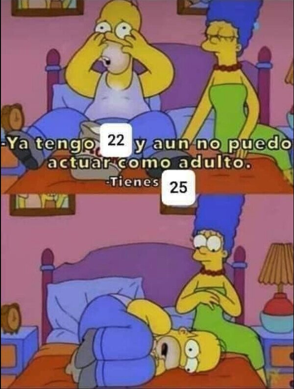 Meme_otros - ¿Dónde se aprende a ser adulto?