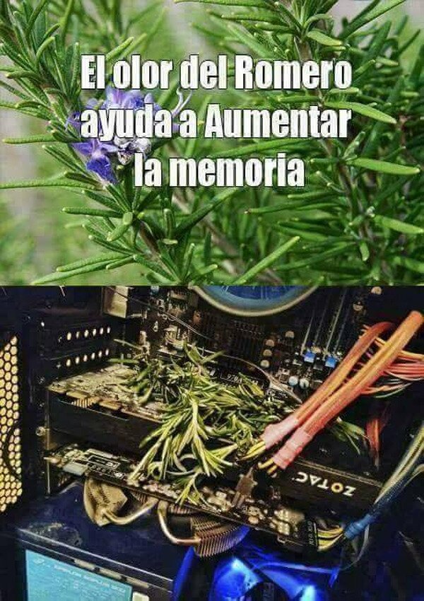 Meme_otros - Spoiler: No funcionó