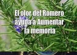 Enlace a Spoiler: No funcionó