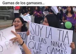 Enlace a Nunca Gamás