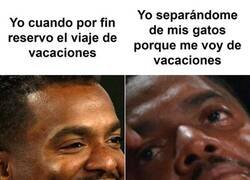 Enlace a Lo peor de irse de vacaciones