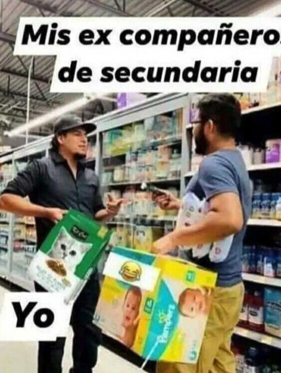 edad,gastos,dinero,pañales,comida,gato