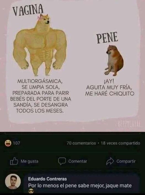 vagina,nepe,sabor,wtf