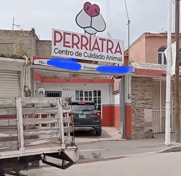 Meme_otros - Mi veterinario de confianza