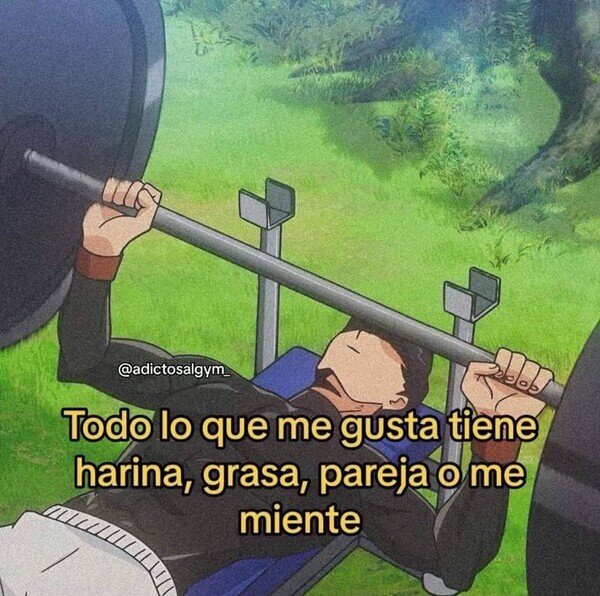 Meme_otros - Todo lo que gusta es malo