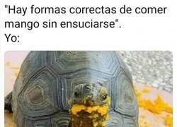 Enlace a Falta aplicarlas