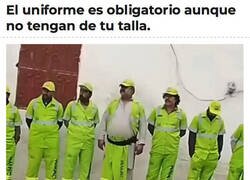 Enlace a Si hay que llevarlo, se lleva