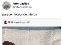 Enlace a Adorables trozos