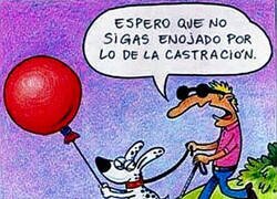 Enlace a Venganza