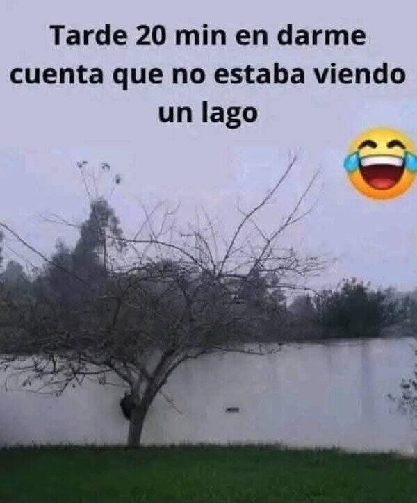 Meme_otros - En esta foto no hay ningún lago