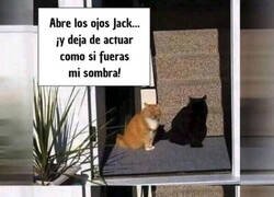 Enlace a Buen acting