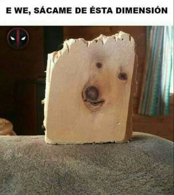 Meme_otros - El Firulais atrapado en una madera