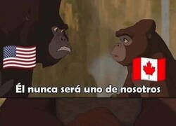 Enlace a Trato diferencial en Norteamérica