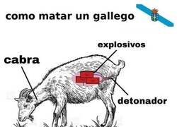 Enlace a Una trampa mortal
