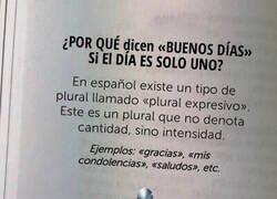 Enlace a ¿Por qué 'Buenos Días' si el día es solo uno?