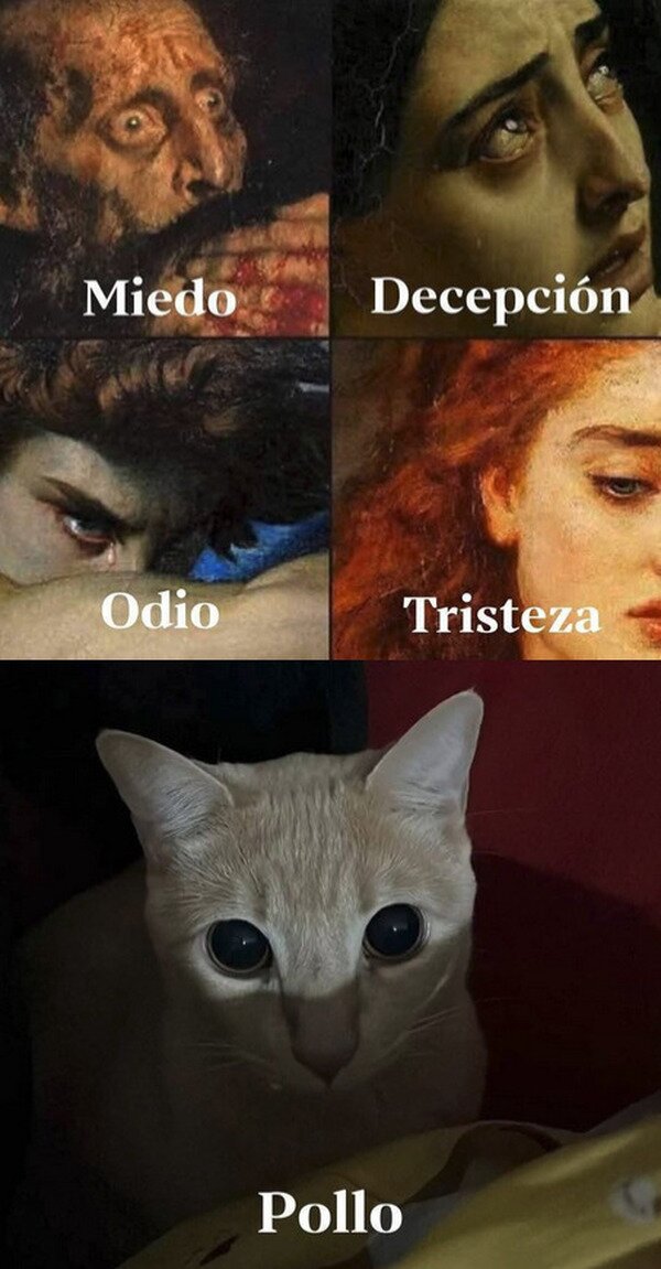 Meme_otros - La mirada nunca miente