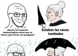 Enlace a Las señales que capta mi abuela