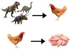 Enlace a Vuelta a los orígenes