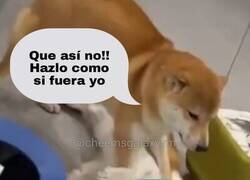 Enlace a Tengo a la IA agobiada