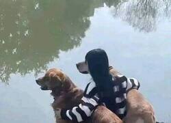 Enlace a La increíble mujer-perro