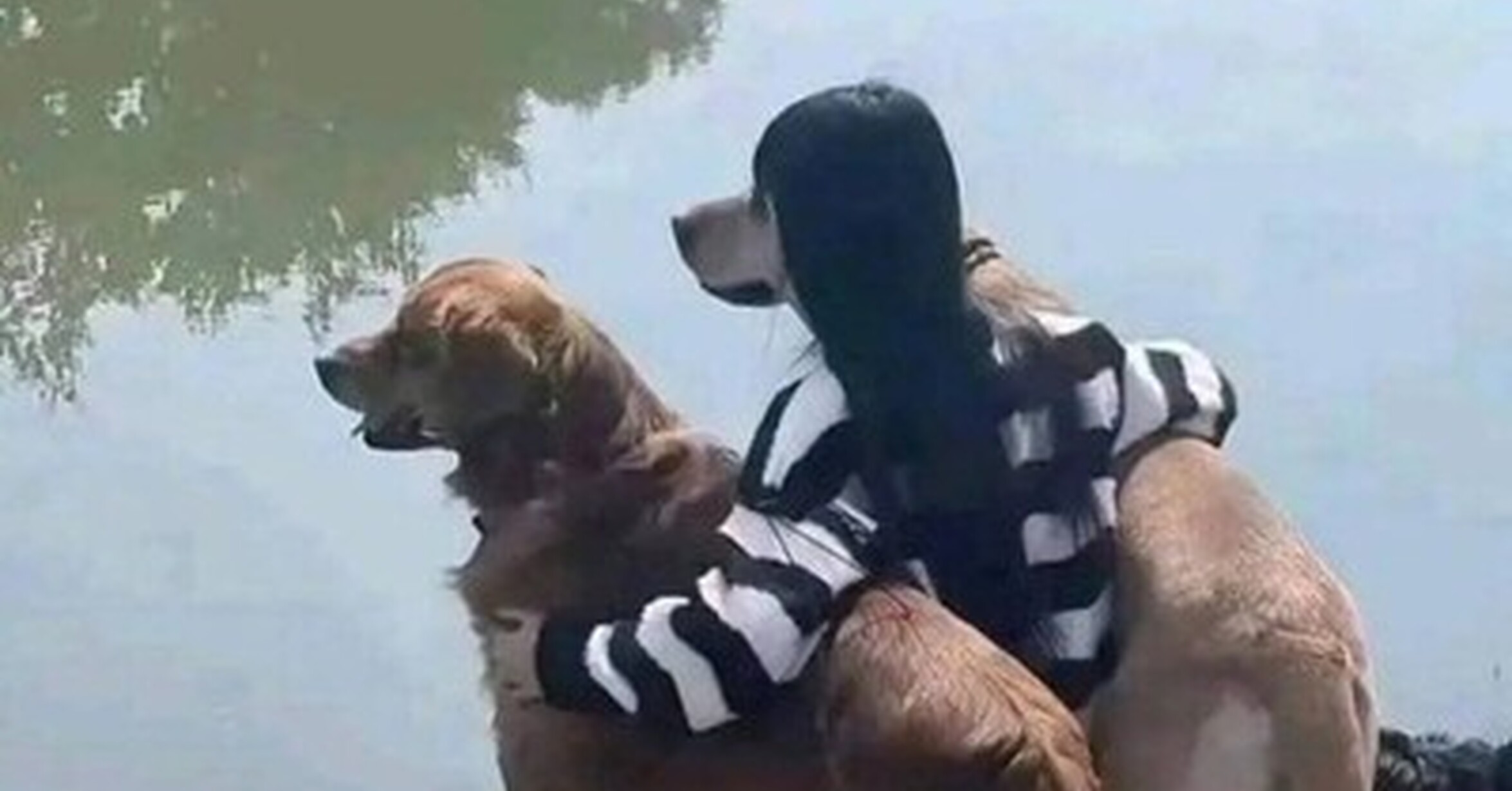 La increíble mujer-perro
