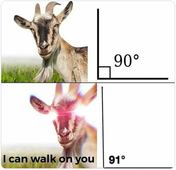 cabras,inclinación,ángulo