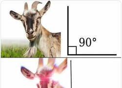 Enlace a Las cabras no necesitan más