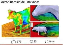 Enlace a De nada, Xavier