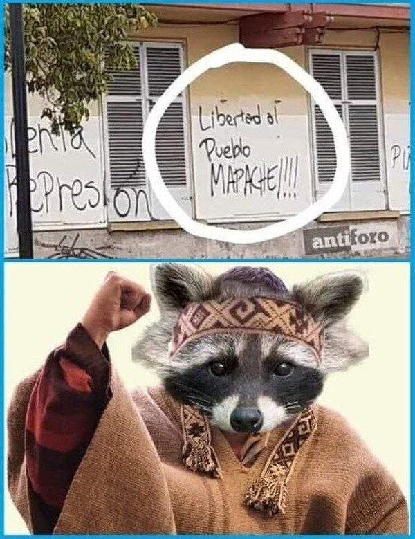 Meme_otros - ¡Por unos mapaches libres!