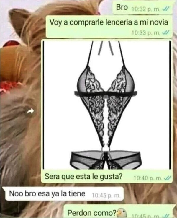 Meme_otros - Confiaba en mi bro...