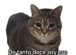 Enlace a Soy ese