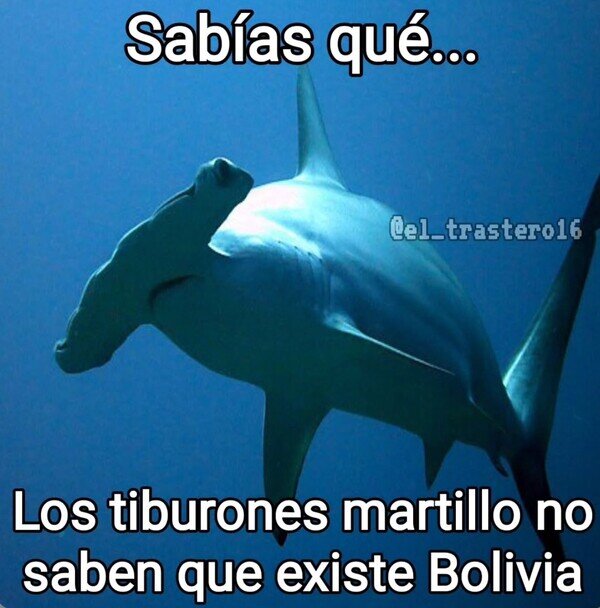 Meme_otros - El dato que necesitabas saber
