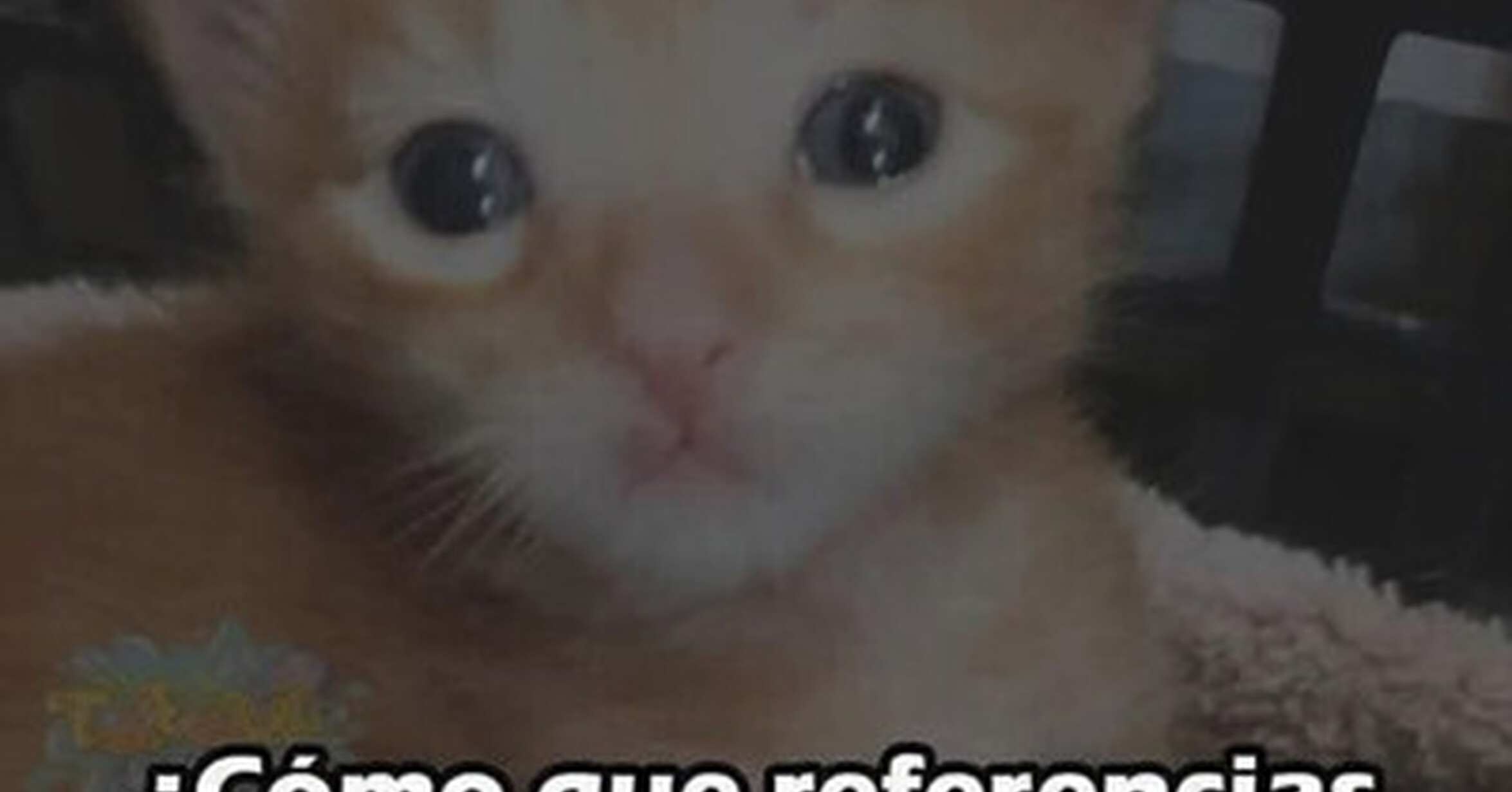 Confíen