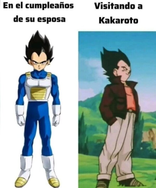 Meme_otros - Vegetta sabe lo que importa