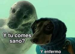 Enlace a Yo como sano