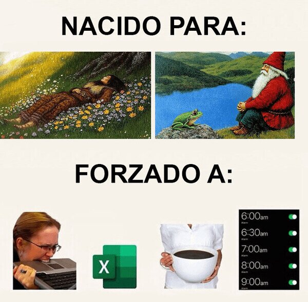 Meme_otros - ¿Cómo acabé así?