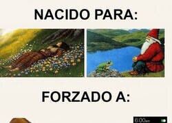 Enlace a ¿Cómo acabé así?