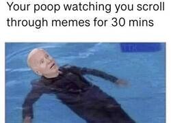 Enlace a Mi caca mientras veo memes