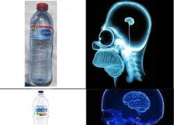 Enlace a Dónde iba a estar la mejor agua...