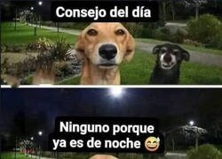 Enlace a En otro momento será