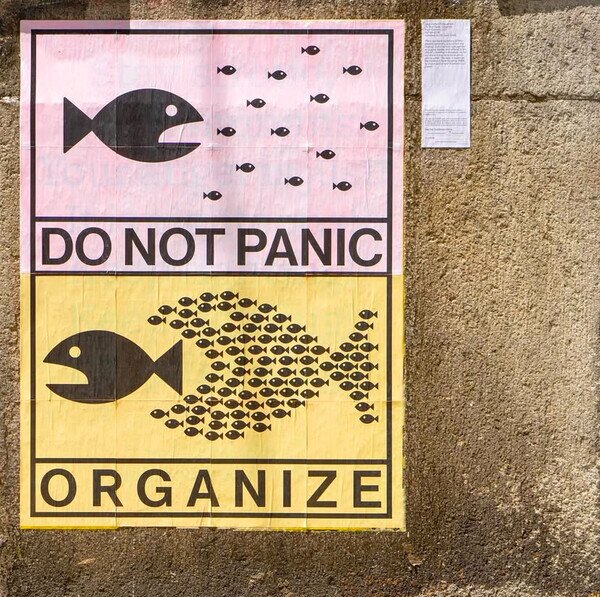 Otros - Así debería ser