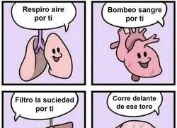 Enlace a ¿Qué hace el cerebro por ti?
