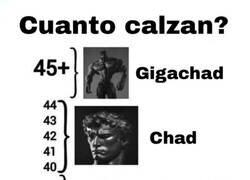 Enlace a ¿Qué número de pie usas?